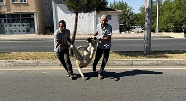Resmi Gazete'yi bile beklemeden... Toplama Başlatıldı
