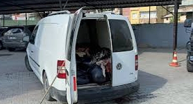 Aracından Tek Tırnaklı Hayvan Eti Çıktı: