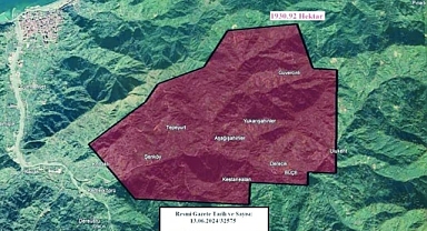 Artvin'in Arhavi İlçesi'nde Doğa Katliamı. 
