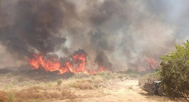 Didim'de Orman Yangını!