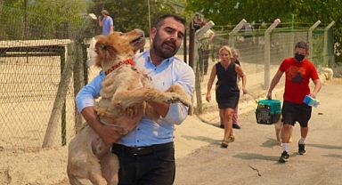 İzmir'de Korkutan Yangın!