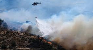 İzmir ve Bolu'daki 3 Bölgede Orman Yangınları Kontrol Altında; Aydın ve Manisa'da Çalışmalar Sürüyor