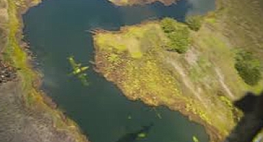 Venezuela’da havalimanında 3 ton kokain yakalandı.